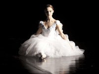 black-swan-27