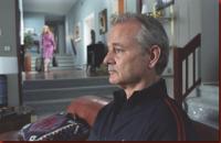 broken_flowers_bill_murray_julie_delpy