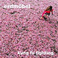 erdmoebel_kungfufighting