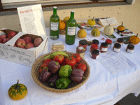 slowfood-zwickelstorfer03